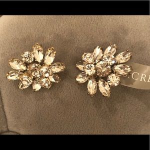 J. Crew Crystal Statement earrings